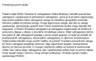 Tin Matura-1 (Medium)