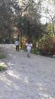 IMG-6f173838623edd9a877d4b8dd38f42fb-V (Medium)
