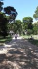 IMG-2b28ffe16607fead32a10cfc4bb6ebec-V (Medium)