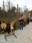 IMG-1f825da62a9edaac3e74011e647ae4ec-V (Medium)