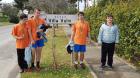 IMG-293d221b871dbdcfa2ae50a75ad1b7fc-V (Medium)