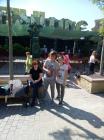 IMG-12dba524b5cf6ebd86bdbff76f64233e-V