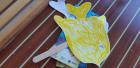 20190605_124725 (Medium)