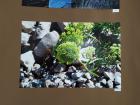 IMG_20191016_110321 (Medium)