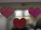 IMG_20200214_101841 (Medium)