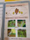 IMG_20200526_162128 (Medium)