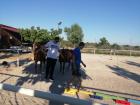 IMG-B43a3e857d093df381b0f3d7abfa162c-V (Medium)