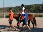 IMG-B5ad01387269ede0c599a6db1666bc1d-V (Medium)