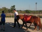 IMG-B956f03139835bd1f2bba143230c0cda-V (Medium)