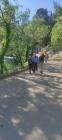 IMG-11ace90d848c2fb6632f27735c154da8-V