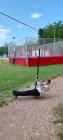 IMG-20230504-WA0009