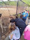 IMG-20241001-WA0009 (Medium)