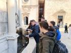IMG_20250410_094437 (Medium)