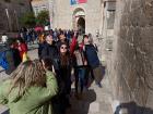 IMG_20250410_094752 (Medium)